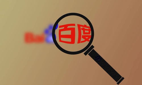 外推蜘蛛池SEO